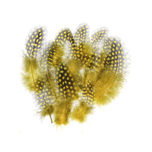 Load image into Gallery viewer, Boho Feathers 15Pc - Yellow