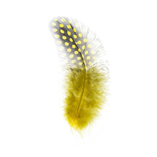Load image into Gallery viewer, Boho Feathers 15Pc - Yellow
