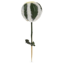 Load image into Gallery viewer, Artificial Succulent - Balloon Cactus, 14.5cm, 1pc
